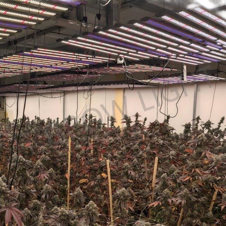 led grow light with adjustable spectrum