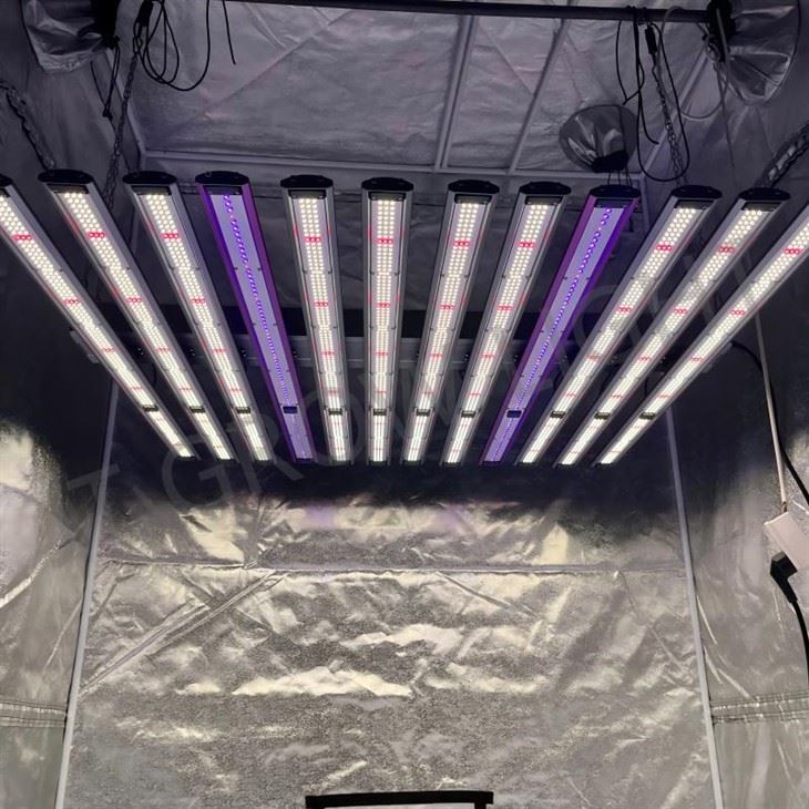 High PPFD LED Grow Light