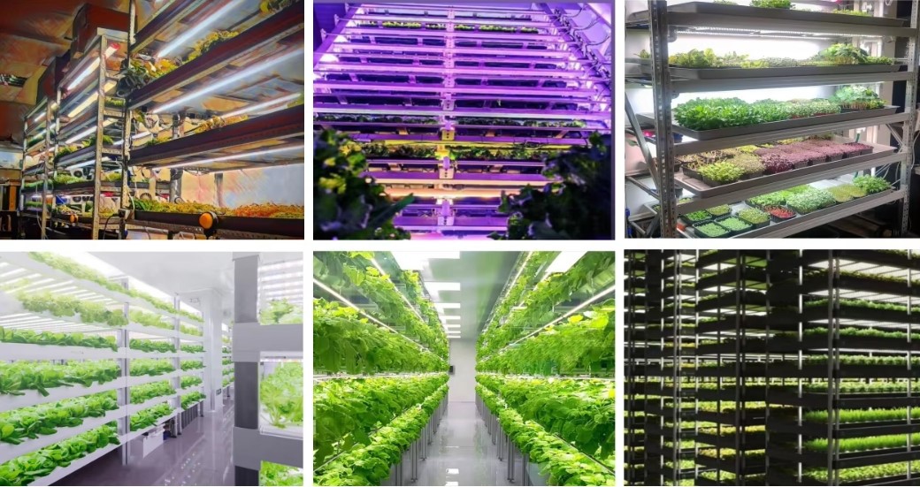 T8 LED grow light tube T8 LED grow light tube