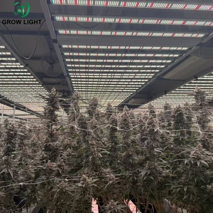 wholesale commercial grow light